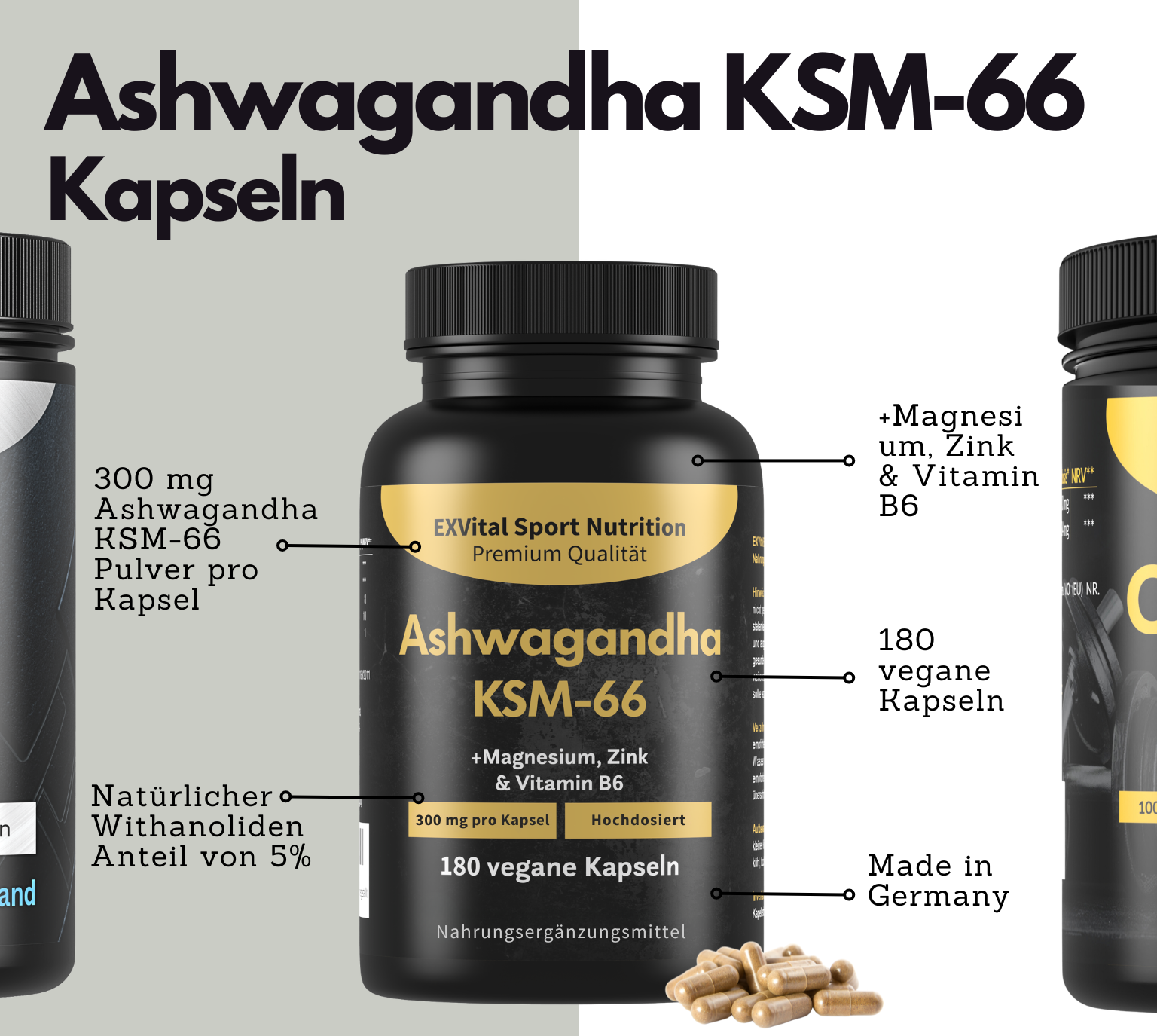 EXVital Workout Regeneration Set BCAA creatina ashwagandha