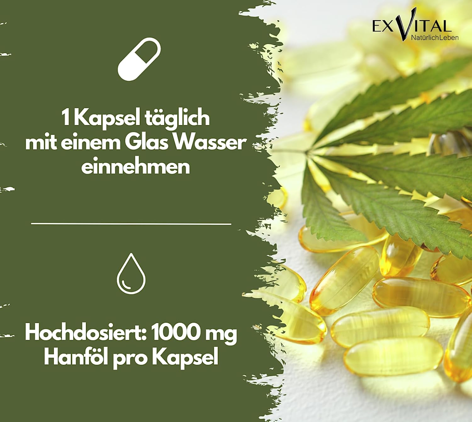 EXVital Olio di canapa 1000 mg 365 capsule softgel