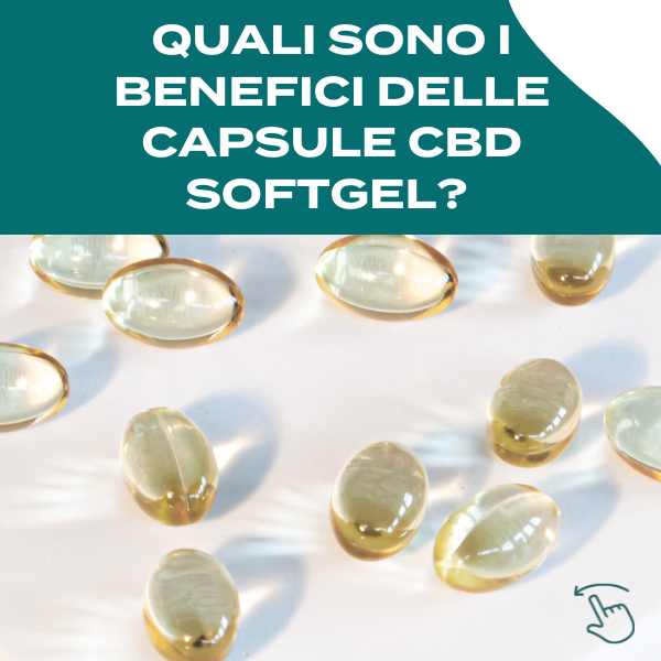 Naturecan CBD Capsules Softgel Olio CBD 30 Capsule 10mg Insapori