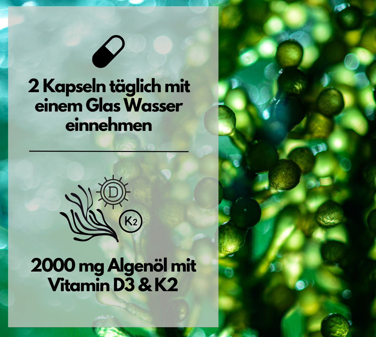 EXVital Omega 3 D3 K2 capsule 120 olio alghe vegano
