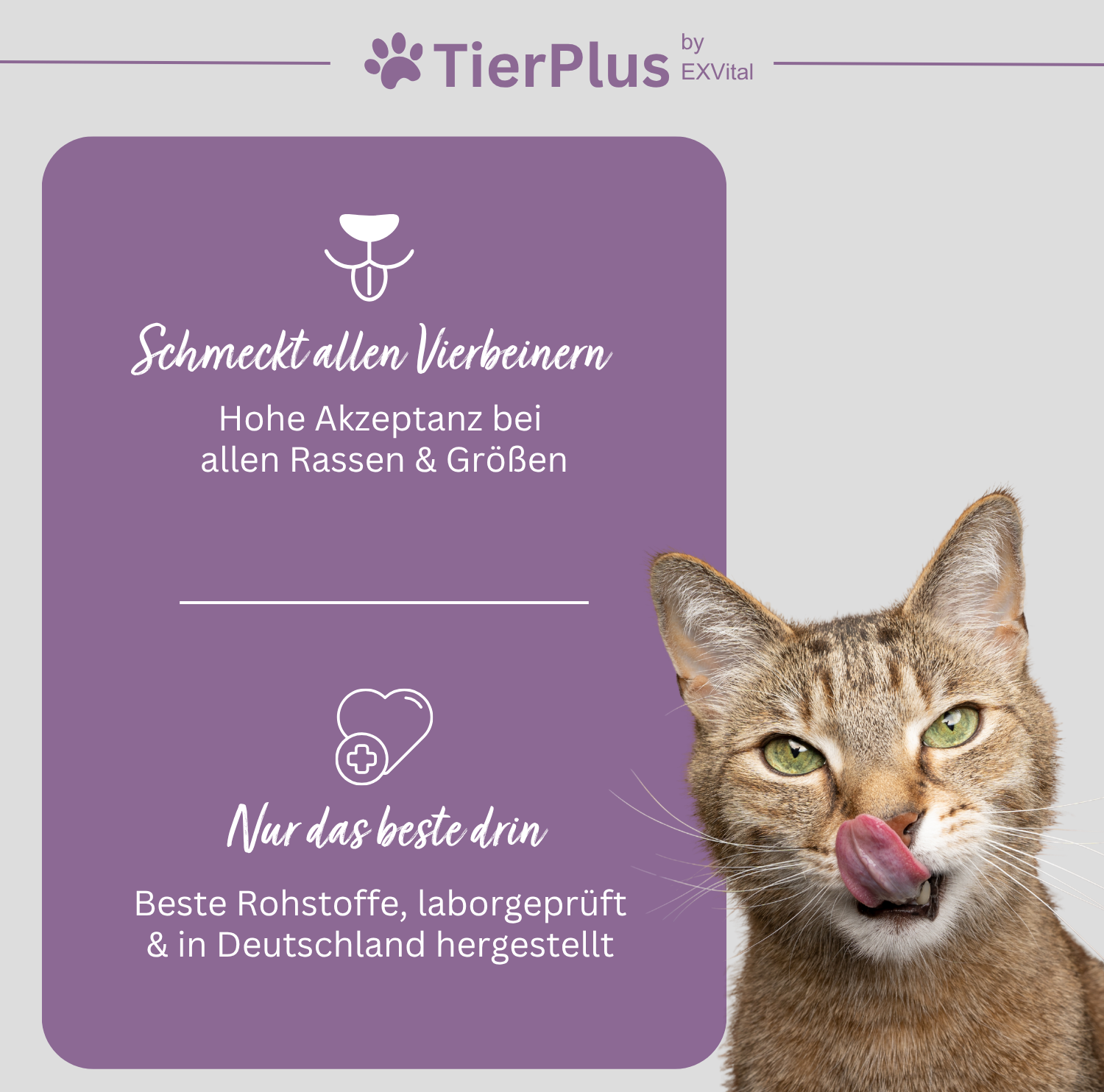 EXVital TierPlus Biotina Liquida cavalli cani gatti zinco