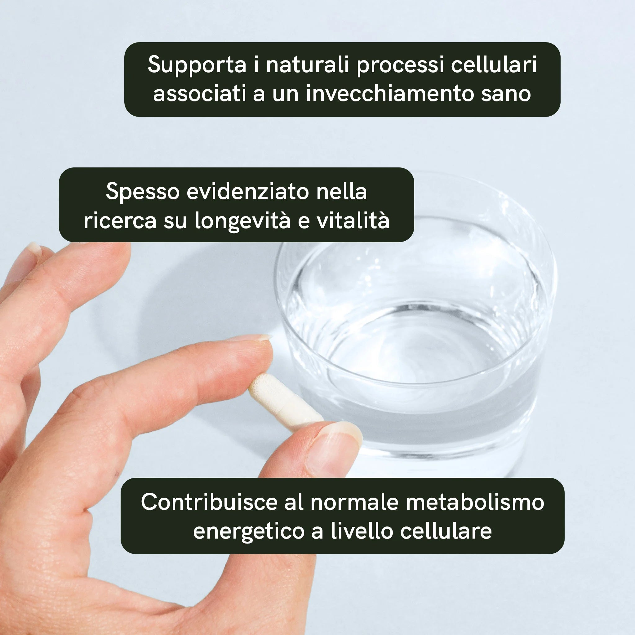 Nordic Oil CBD Capsules Nicotinamide Riboside 30 capsule