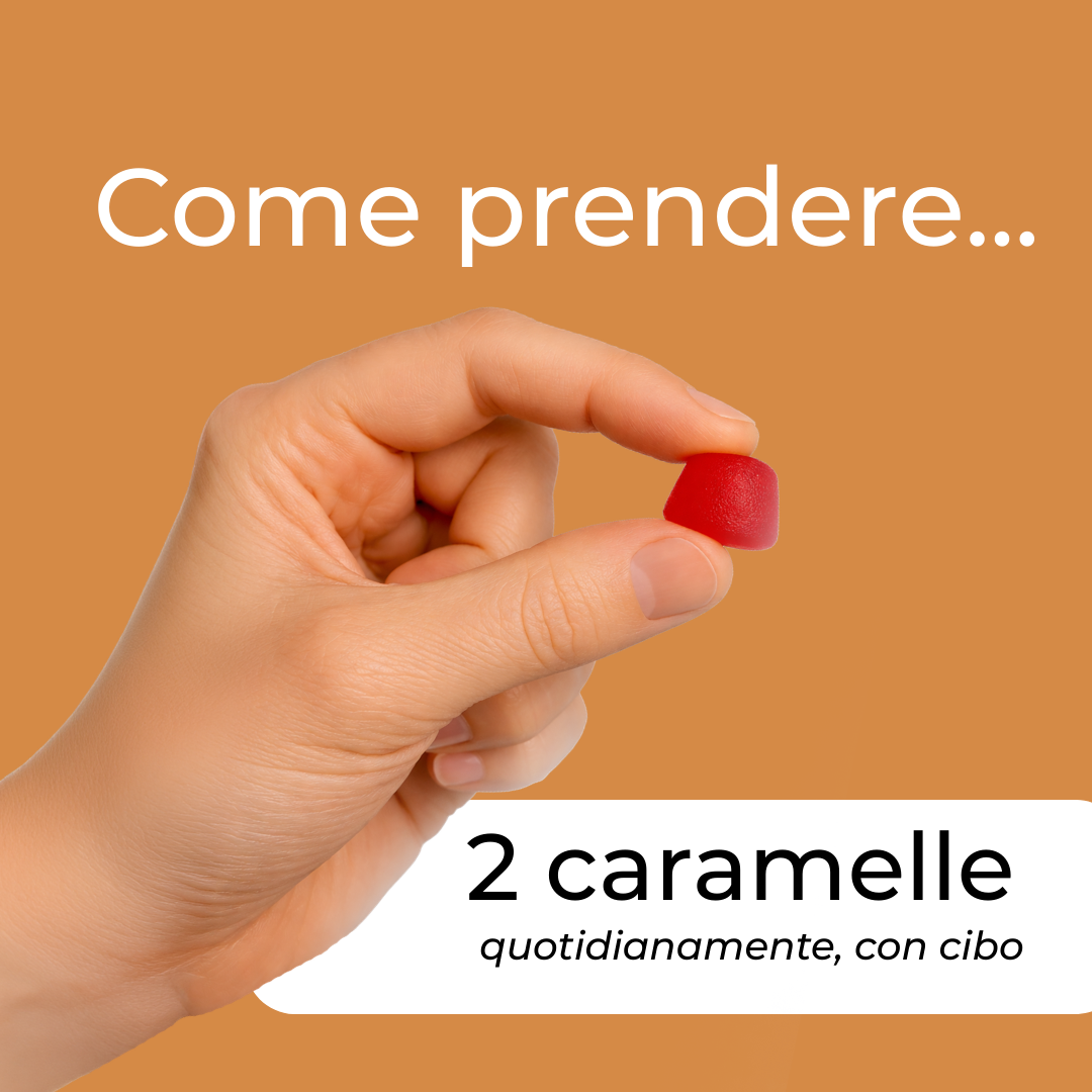 Naturecan Adaptogens caramelle Reishi 30 porzioni mirtillo