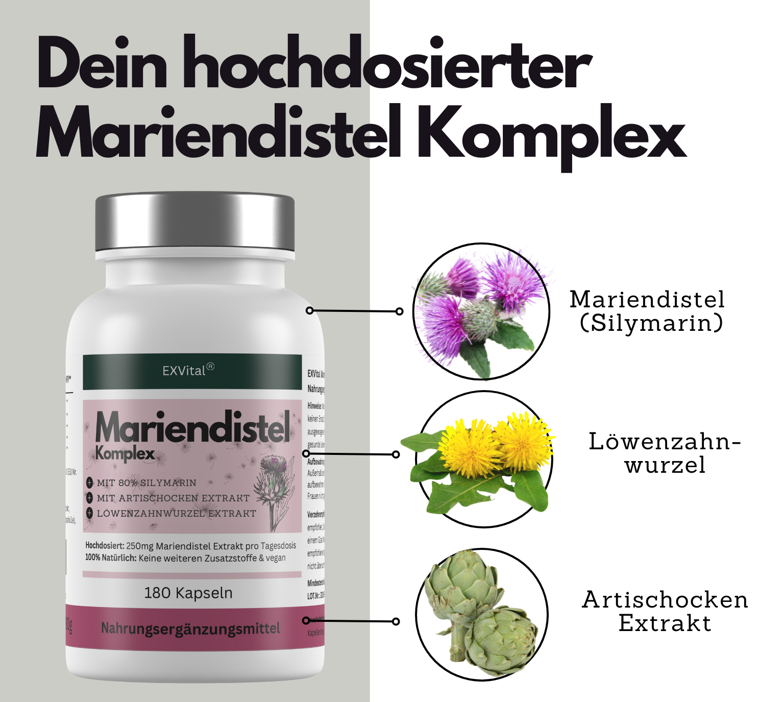 EXVital Darmgesundheit Mariendistel Komplex capsule 180 pz