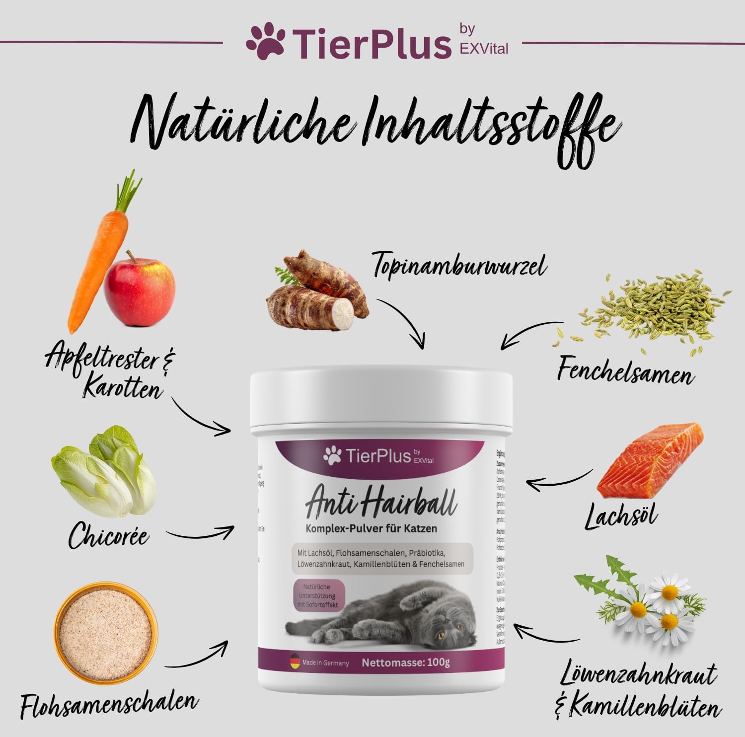 EXVital TierPlus Anti Hairball polvere gatti olio salmone