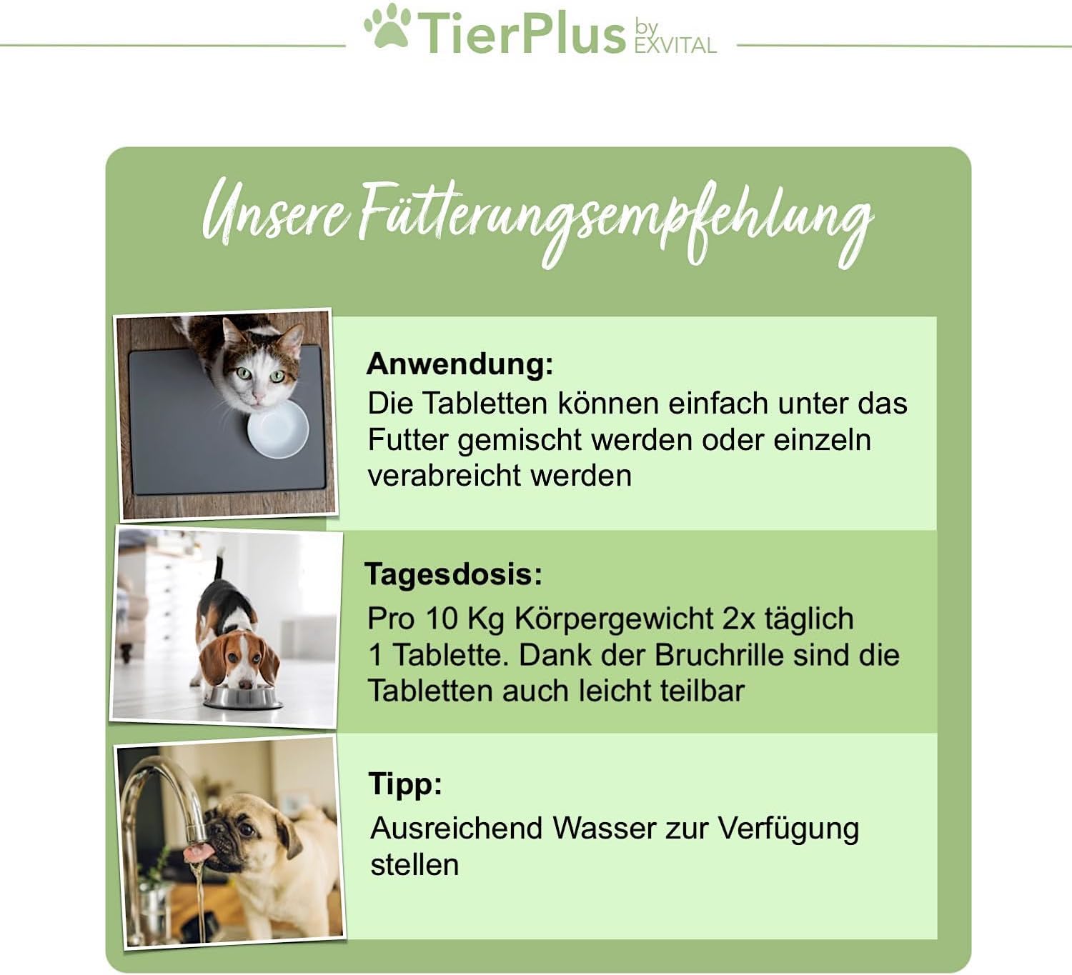 EXVital TierPlus Darm Aktiv cani gatti 120 compresse prebiotici