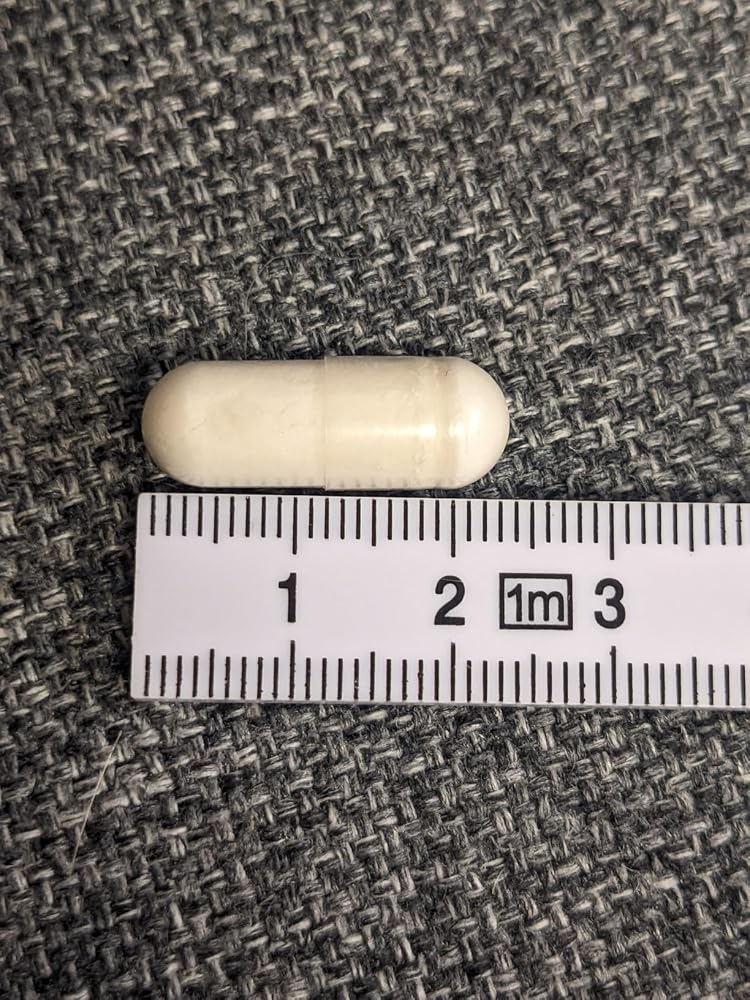 EXVital Kollagen Collagene Marino 1700 mg Capsule