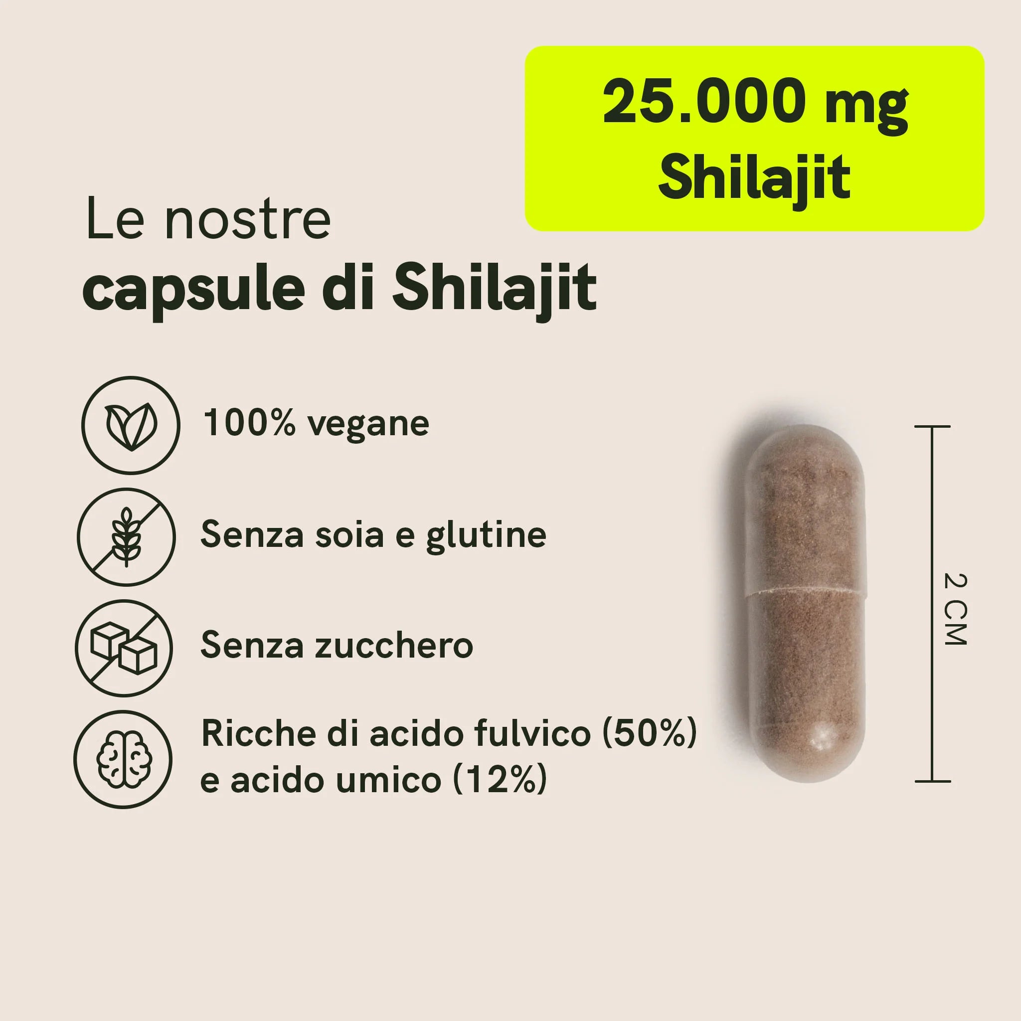 Nordic Oil Shilajit Capsule 500 mg Acido Fulvico