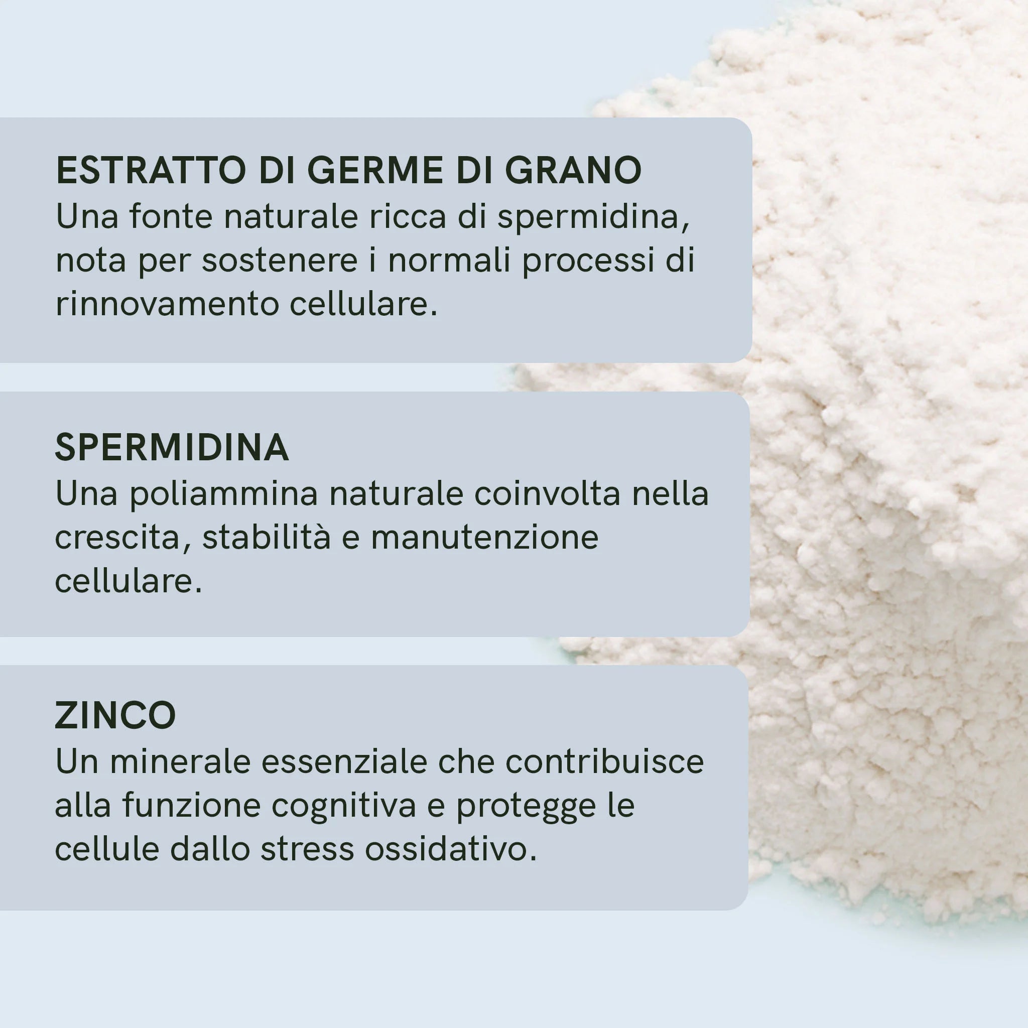 Nordic Oil Spermidina Capsule 120 Capsule Vegane Zinco