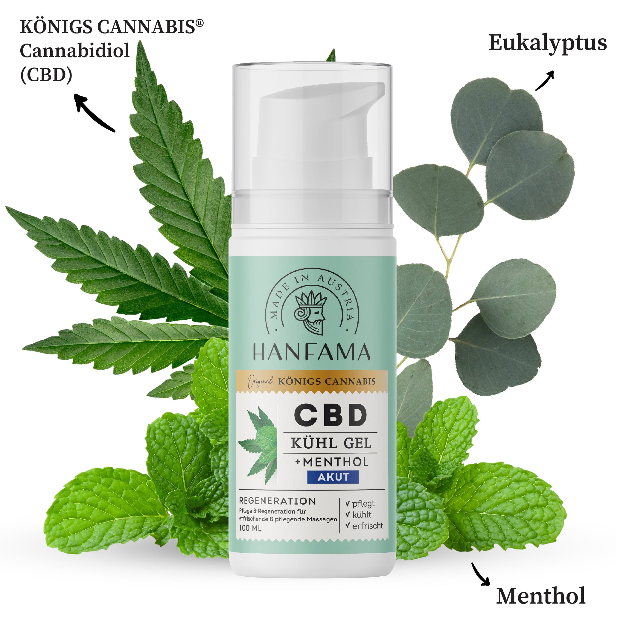Hanfama Warm- und Kaltmassage Gel CBD 100 ml mentolo eucalipto