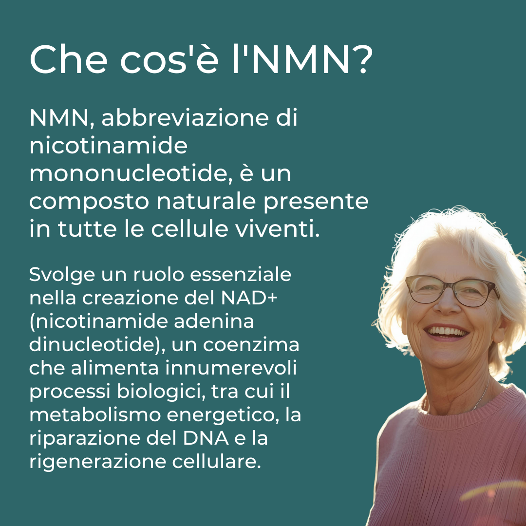 Naturecan Longevity NMN 500 mg capsule 60 capsule NAD+