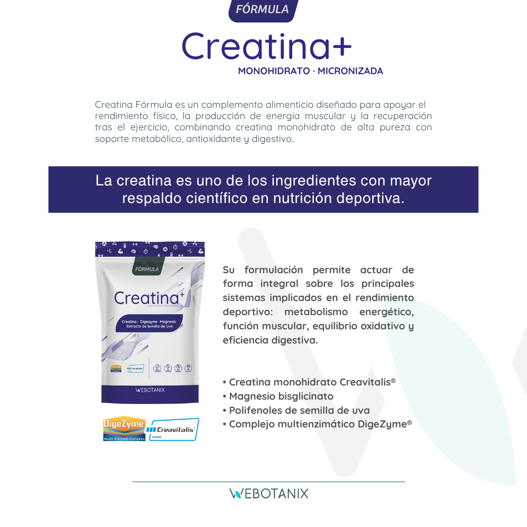Webotanix Fórmula Creatina integratore energia