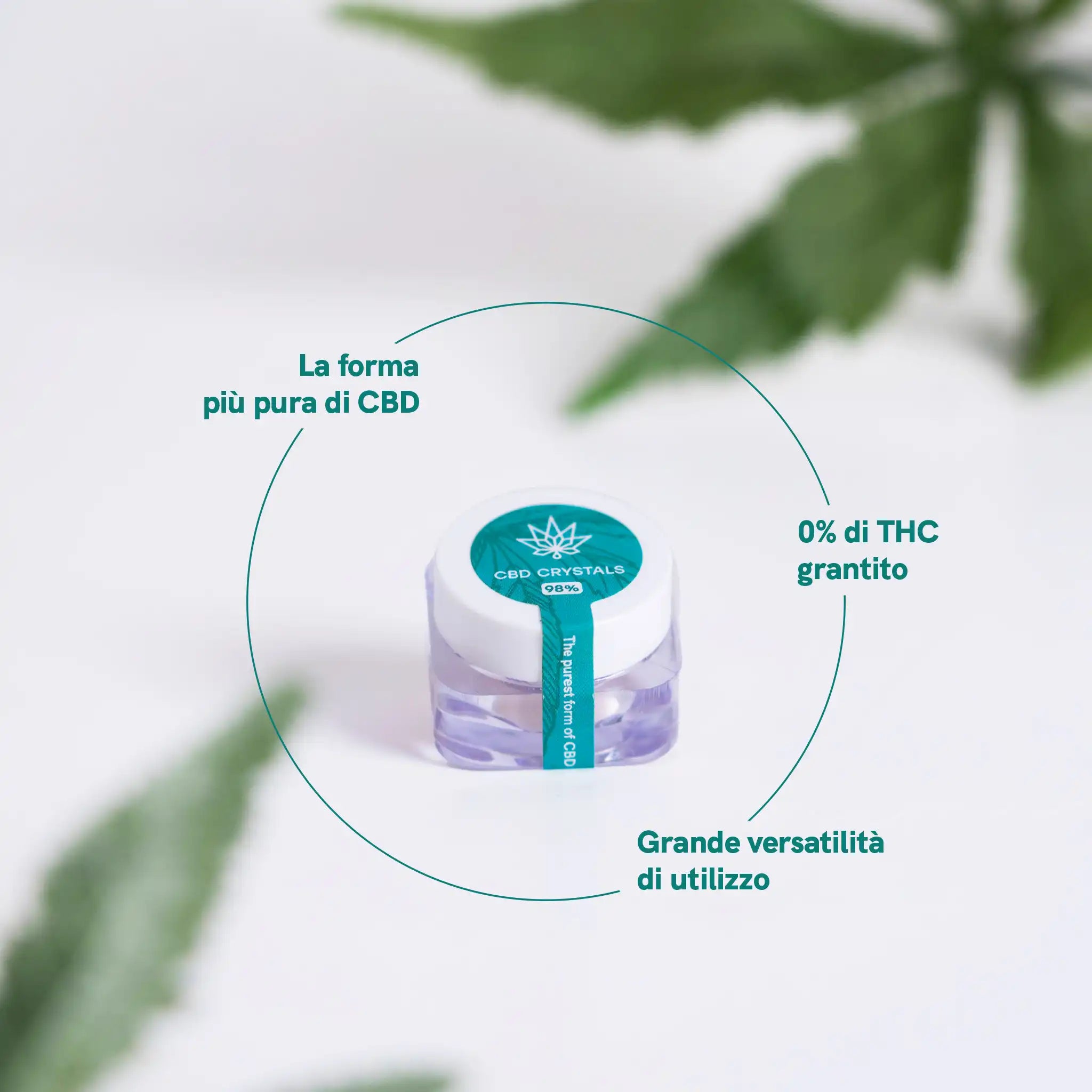 Nordic Oil CBD Concentrates cristalli CBD 98,6% 1000 mg