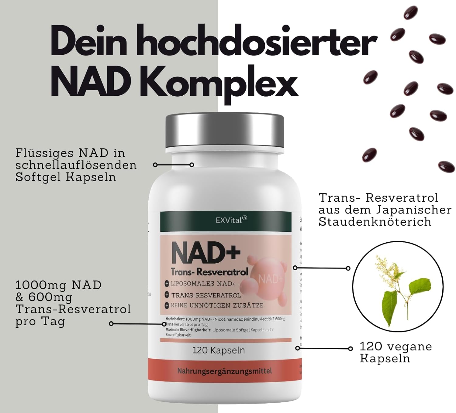 EXVital Beauty NAD+ 1000mg capsule 120 pz con resveratrolo