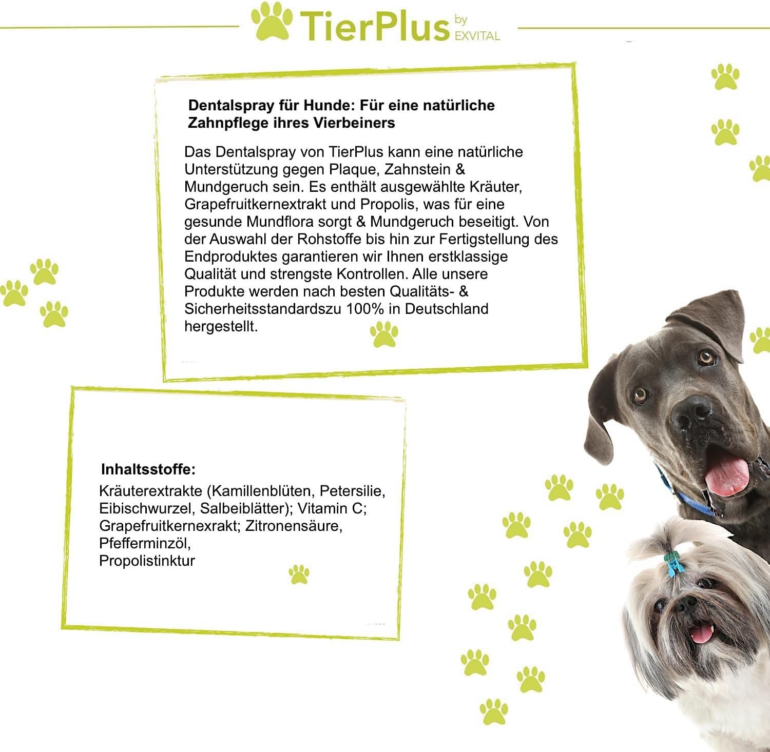 EXVital TierPlus Dentalspray cani spray dentale 100 ml alito tartaro