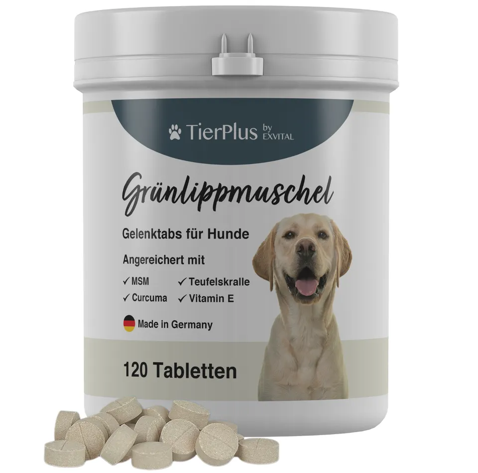 EXVital Grünlippmuschel Plus compresse cani 120 pz