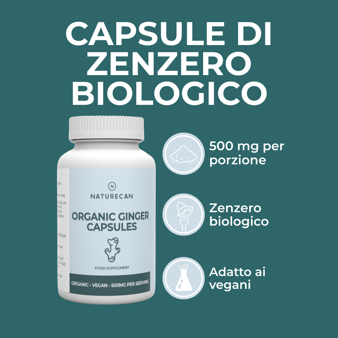 Naturecan zenzero biologico capsule 180 digestione