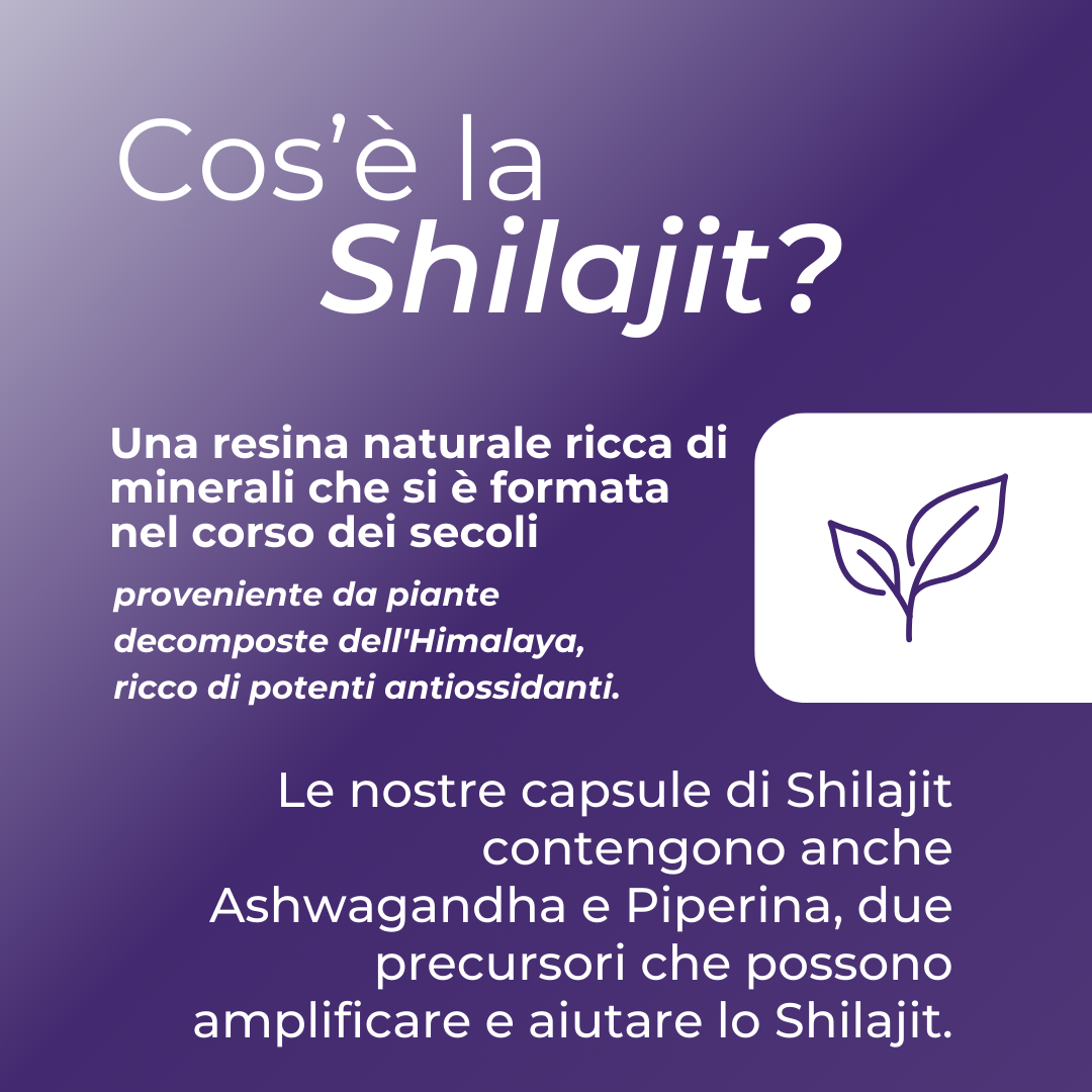 Naturecan Adaptogens Shilajit Capsule 60 pz Minerali