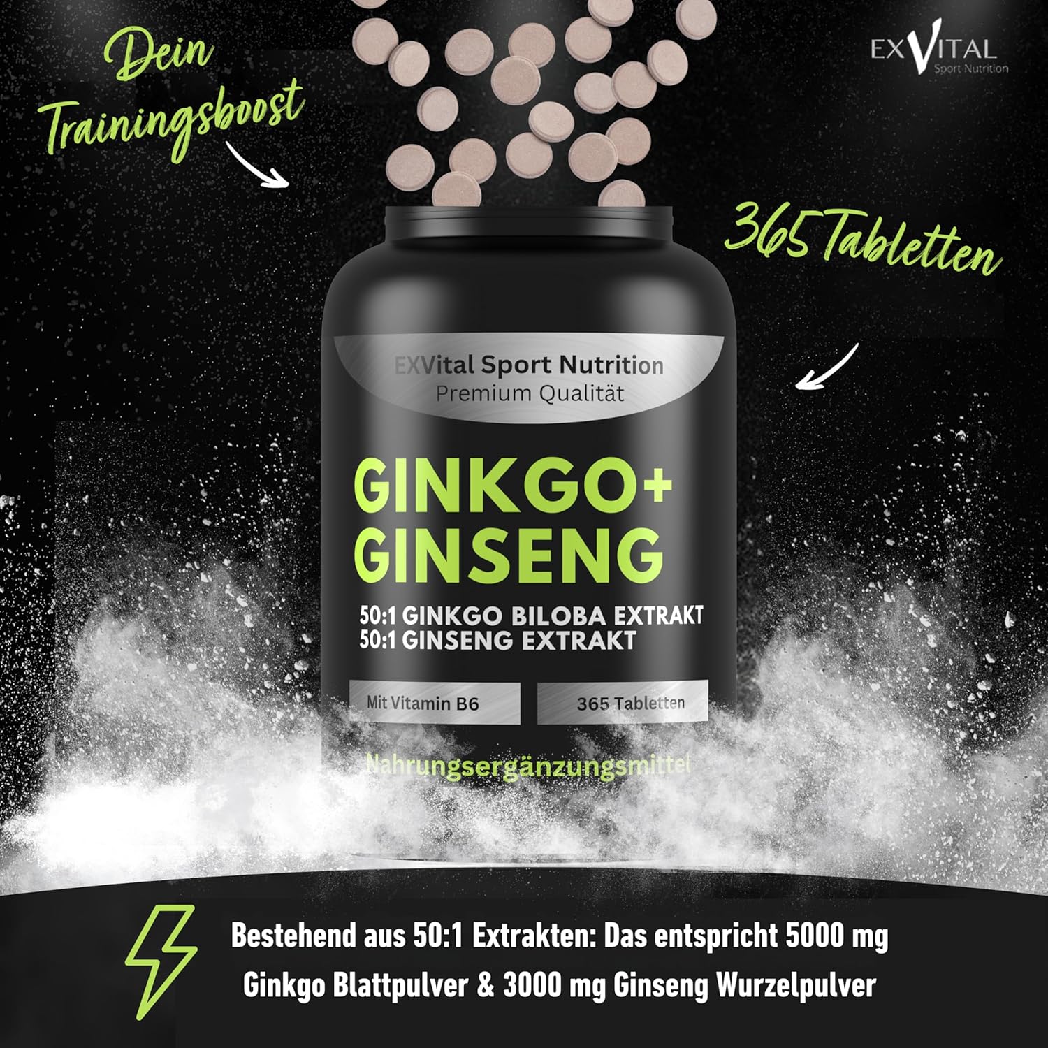 EXVital Gehirn & Fokus Ginkgo Ginseng compresse 365 pezzi 50:1