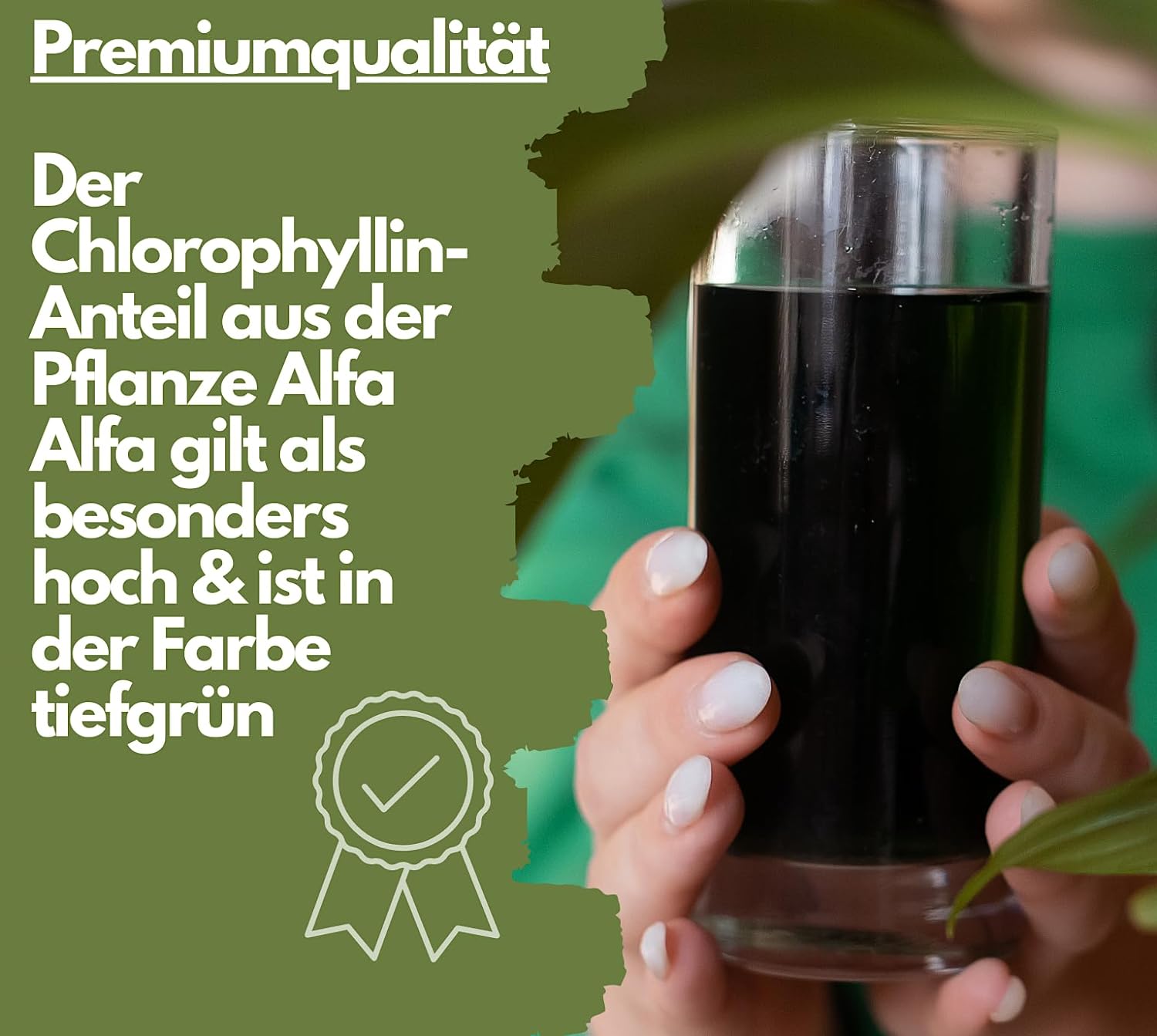 EXVital Darmgesundheit Liquid Chlorophyll gocce 50 ml alfalfa