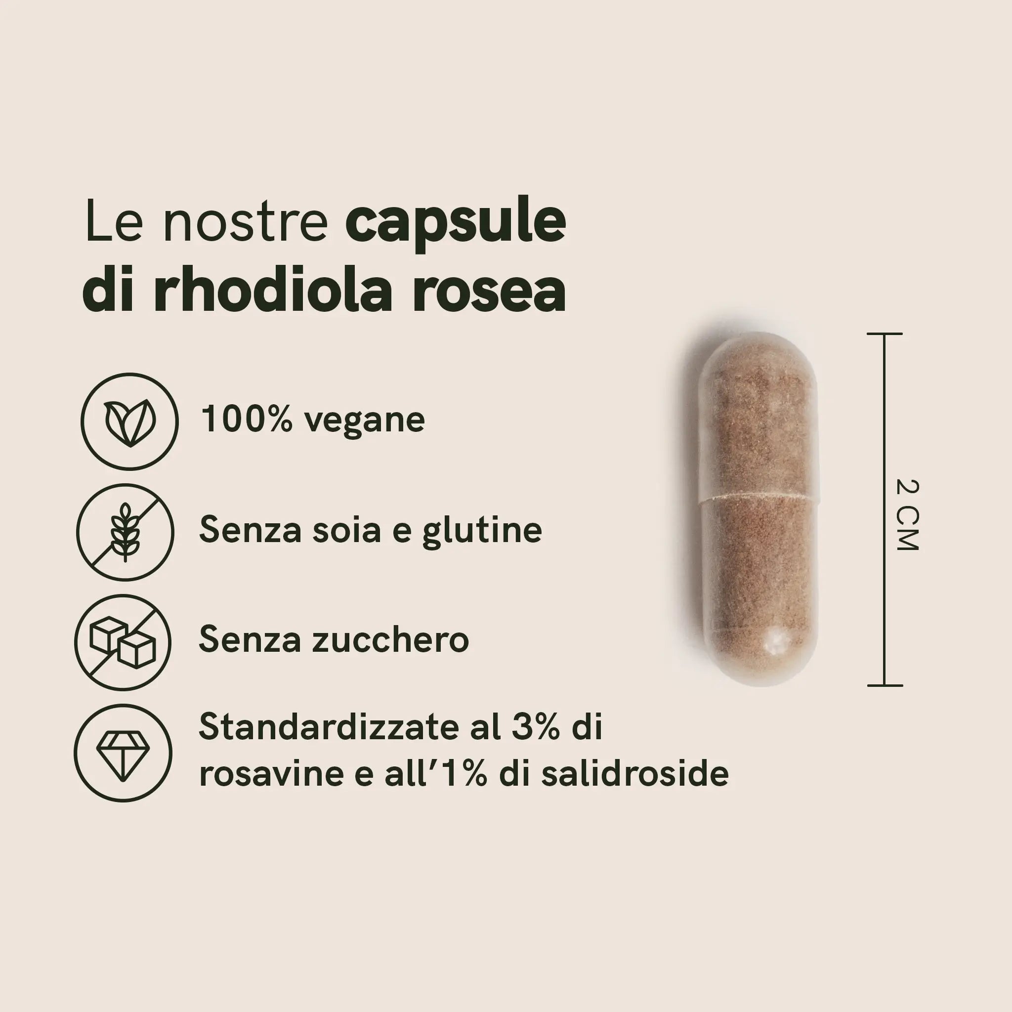 Nordic Oil CBD Capsules Rhodiola Rosea Capsule vegane