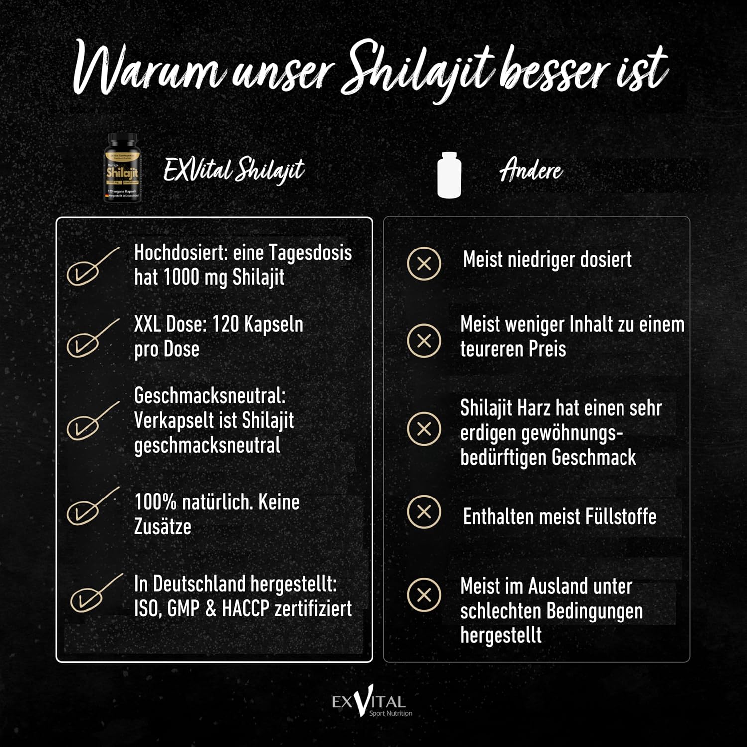 EXVital Gehirn & Fokus Mumijo Shilajit 120 capsule Himalaya