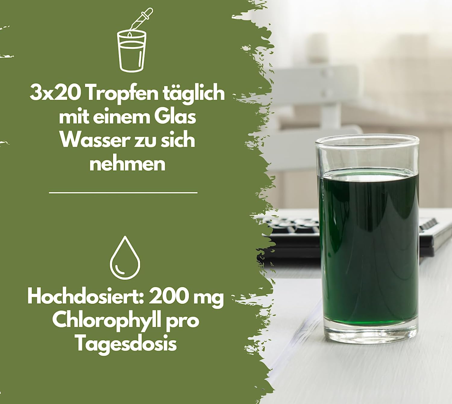 EXVital Darmgesundheit Liquid Chlorophyll gocce 50 ml alfalfa