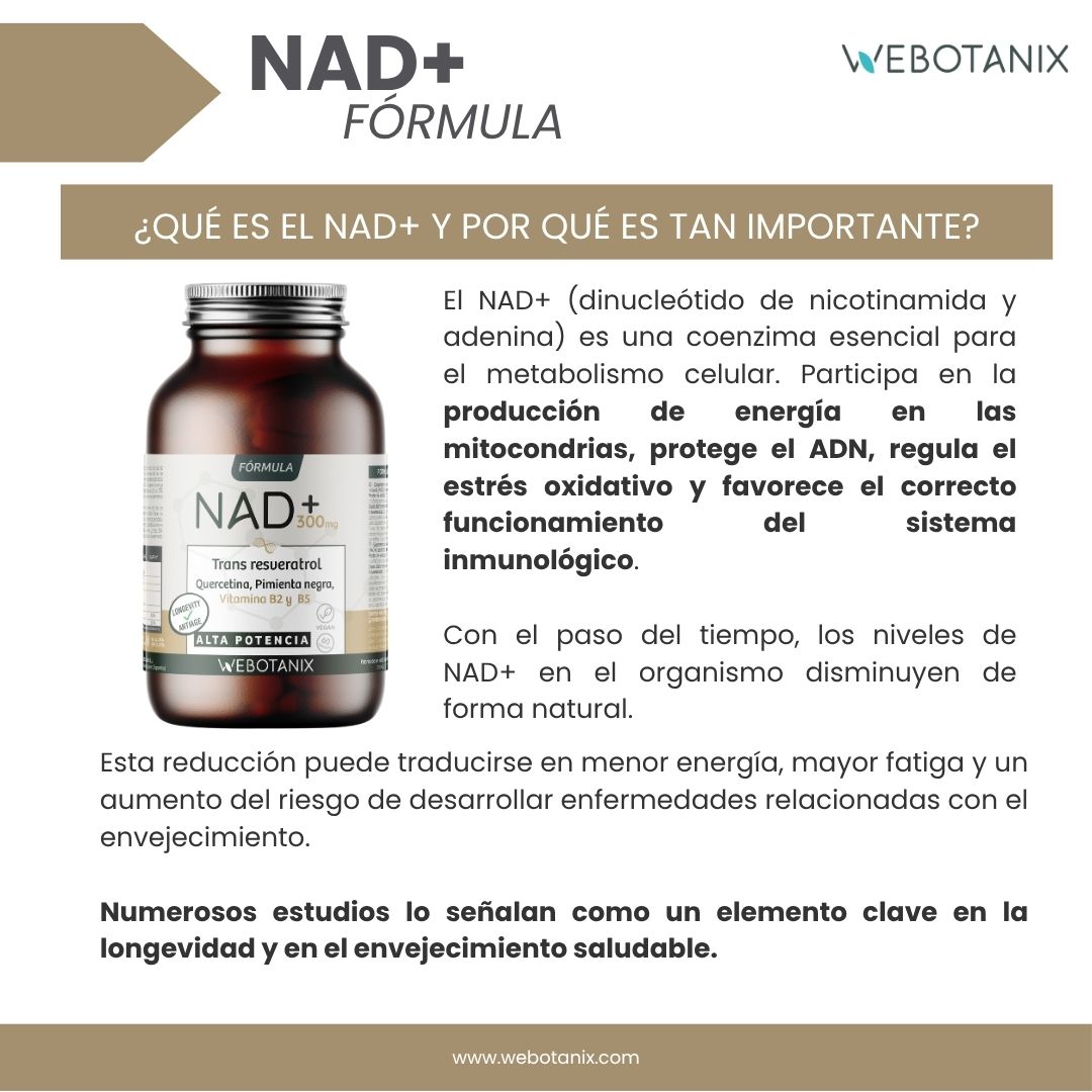 Webotanix Fórmula NAD+ Resveratrolo capsule 60 pz energia