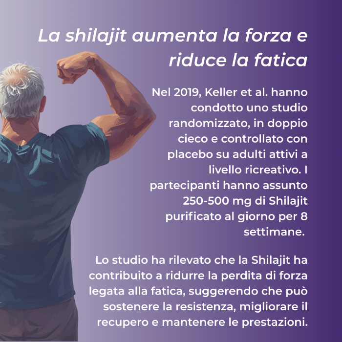 Naturecan Adaptogens Shilajit Capsule 60 pz Minerali
