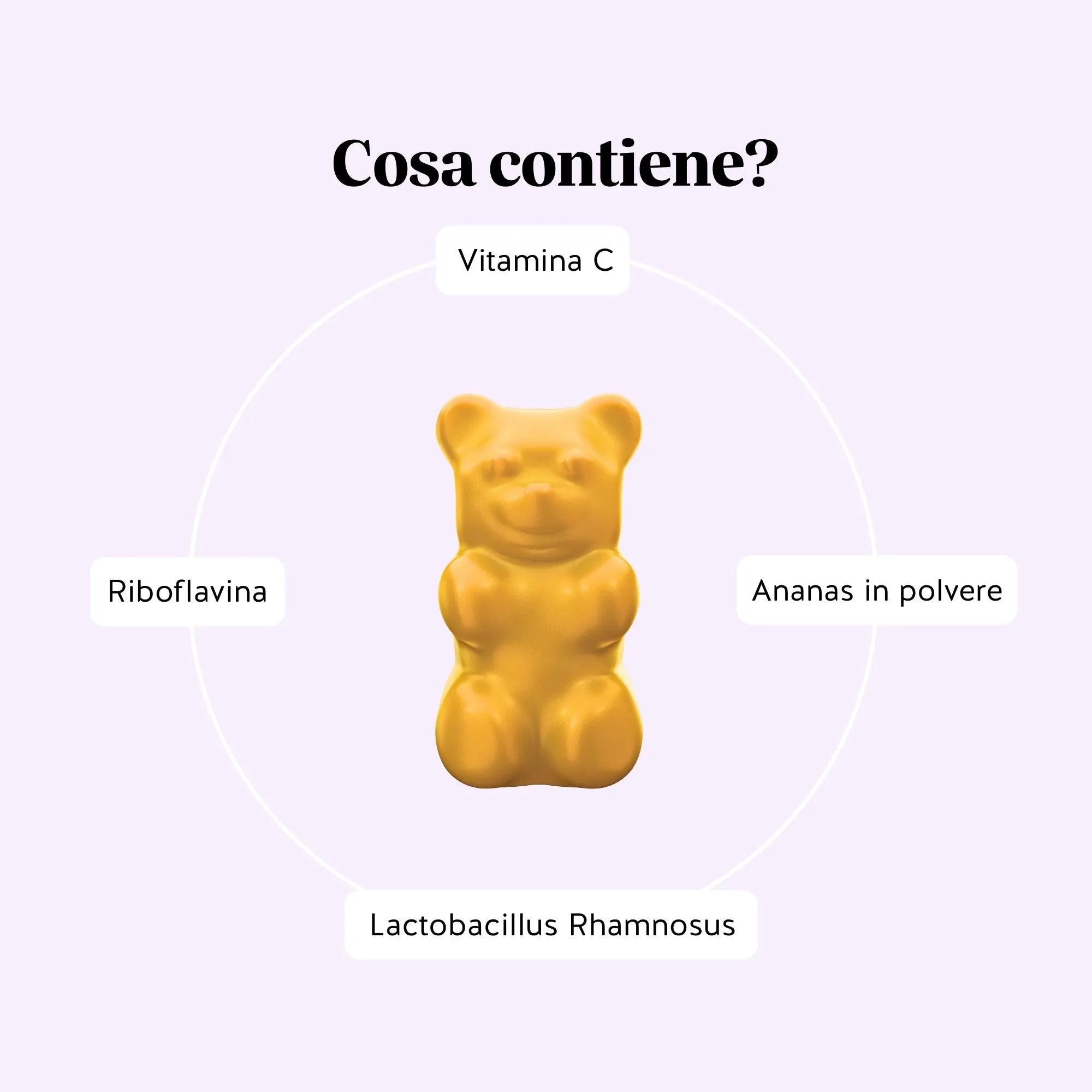 Beauty Bears Duo Equilibrio Intimo e Ciclo orsetti bundle donna