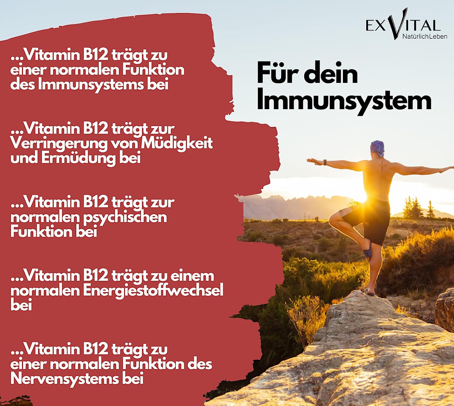 EXVital Essentials Vitamina B12 Gocce 50 ml Alta Dose