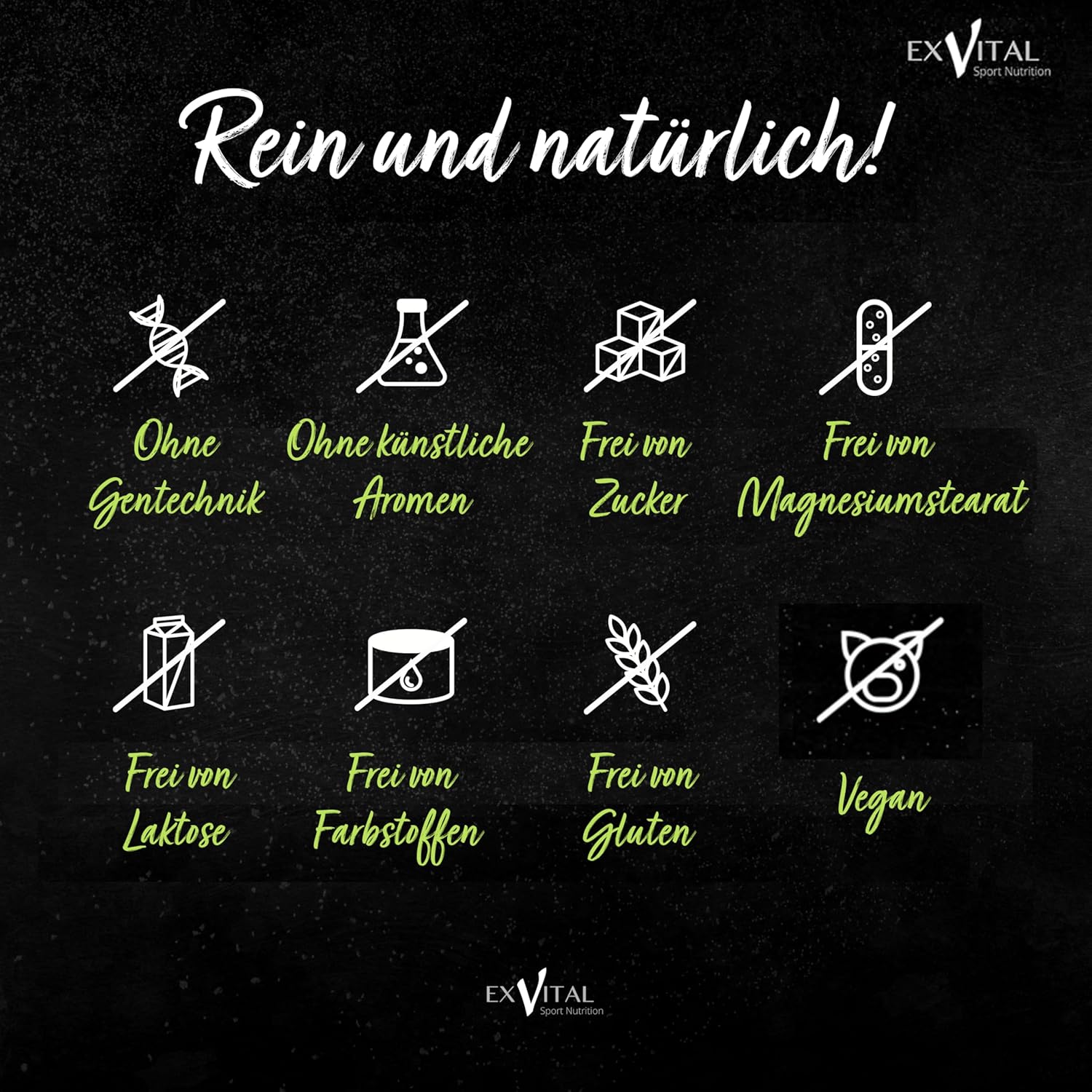 EXVital Gehirn & Fokus Ginkgo Ginseng compresse 365 pezzi 50:1